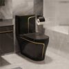 Luxury Black Toilet With An Elegant Gold Stripe