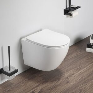 wall hung toilet