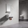 Frencia vanity bathroom cabinet BCL-5036G
